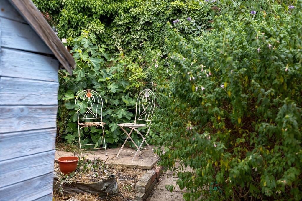 33 Eldon Terrace - Garden xtra-4.jpg