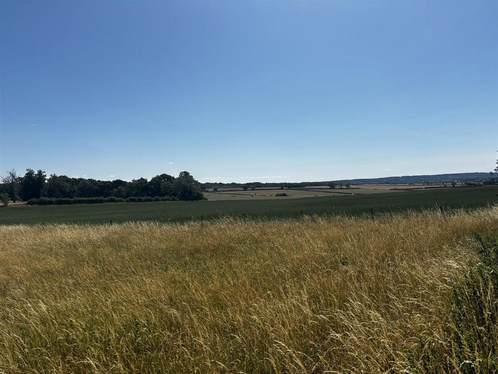 IMG 0100.jpg