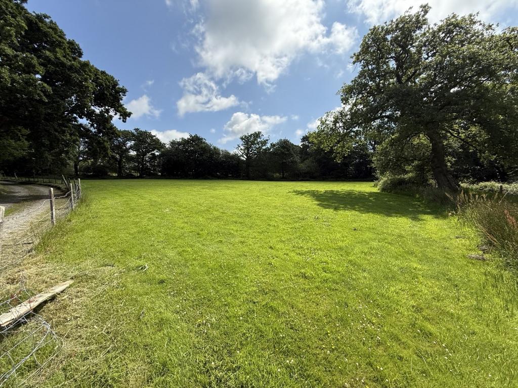 Garden and Grounds