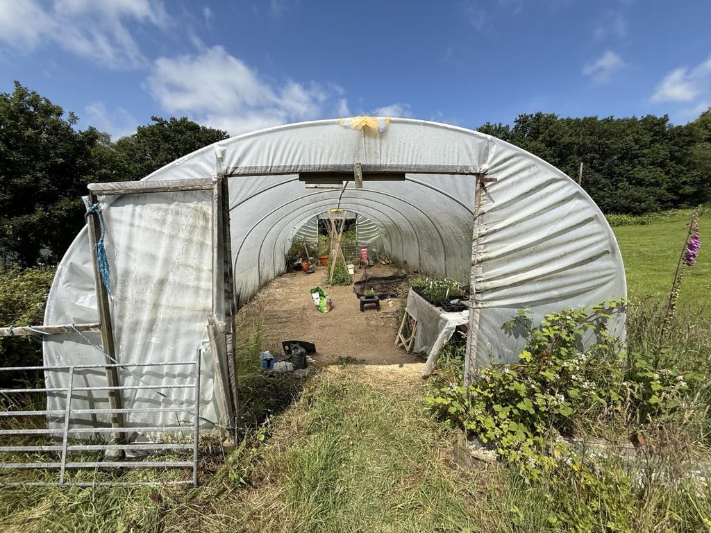Polytunnel.