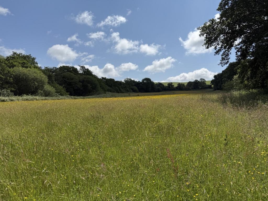 The land