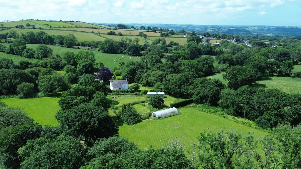 The land