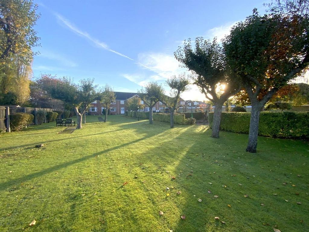 Resized IMG 9286.jpg