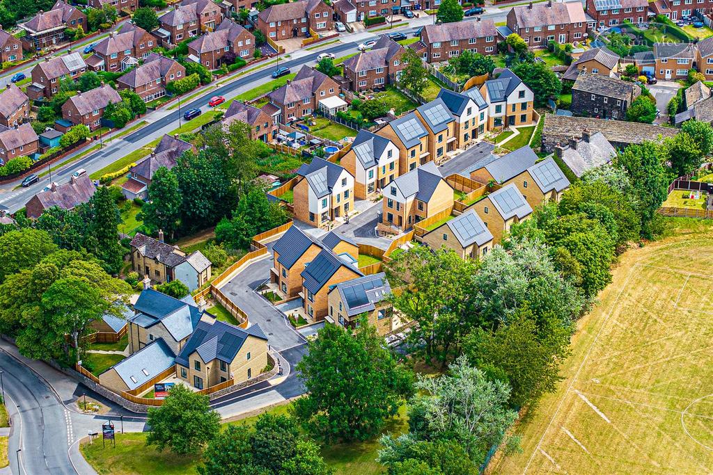 DJI 20250710123322 0182 D copy.jpg