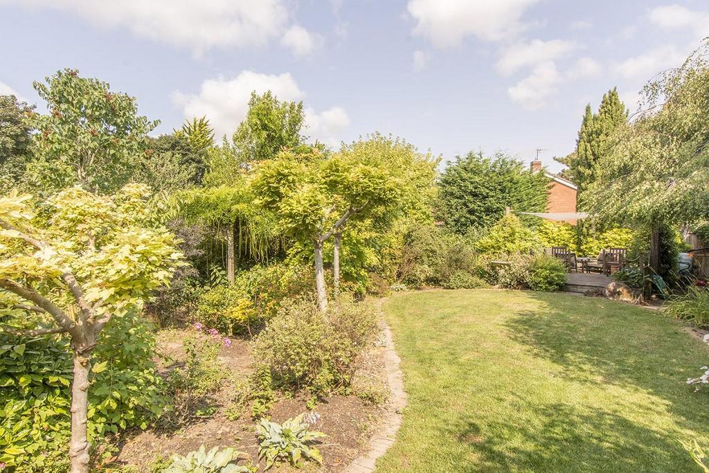 Garden Photo 2