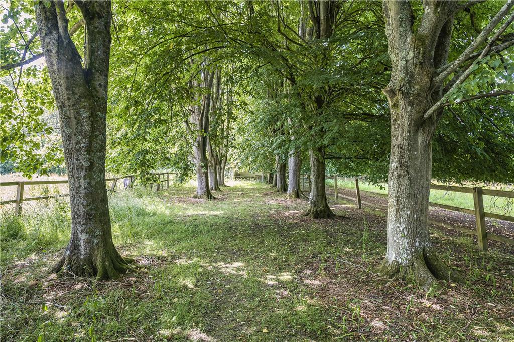 Grounds