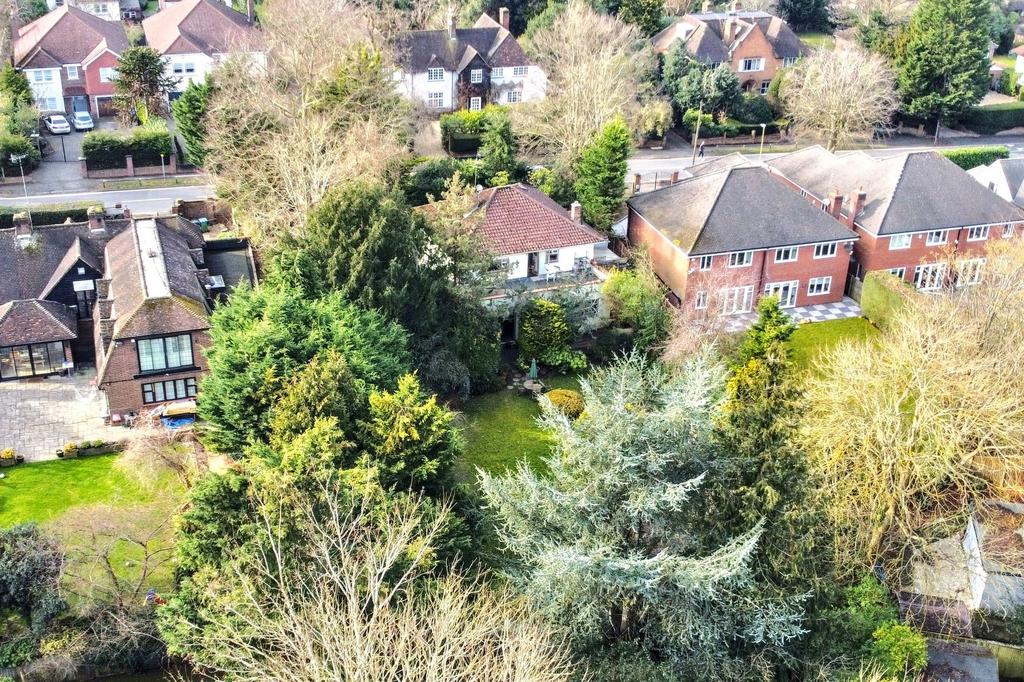 Aerial Shot