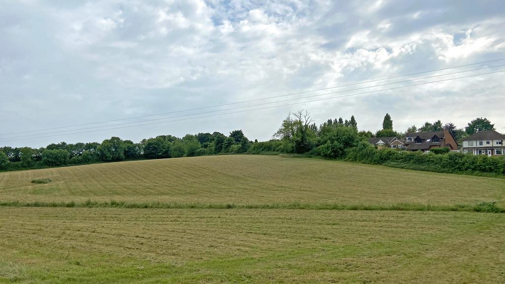 Opposite detached properties.