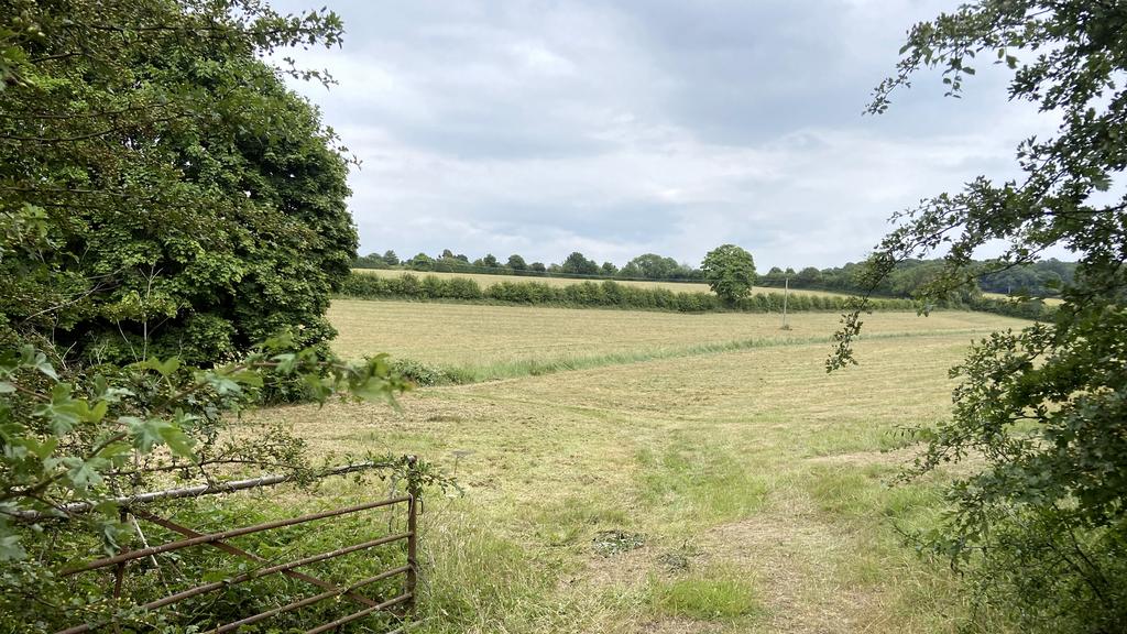 Gated access to the north of the site.