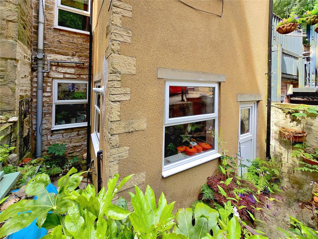 Rear Patio/ Yard