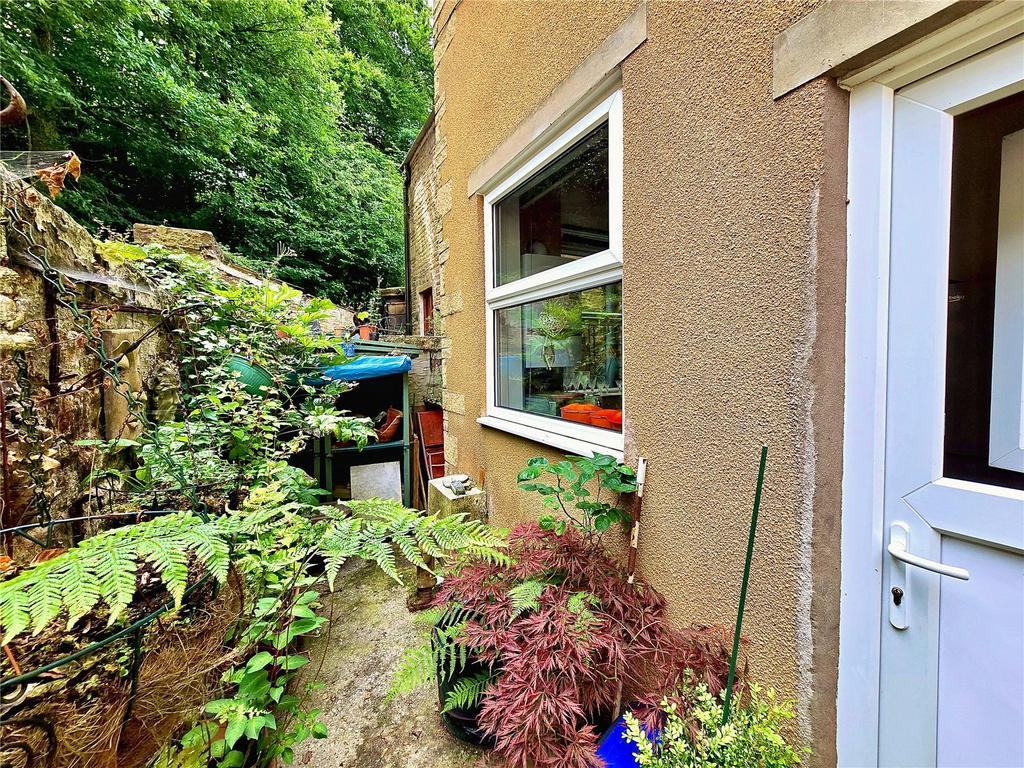 Rear Patio/ Yard