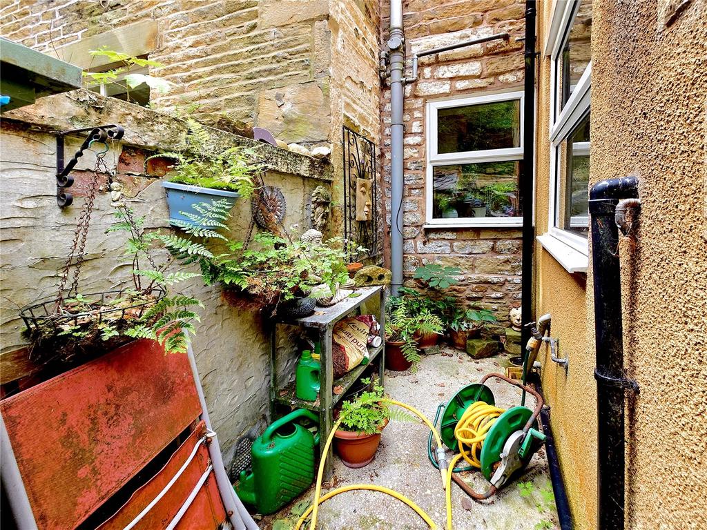 Rear Patio/ Yard