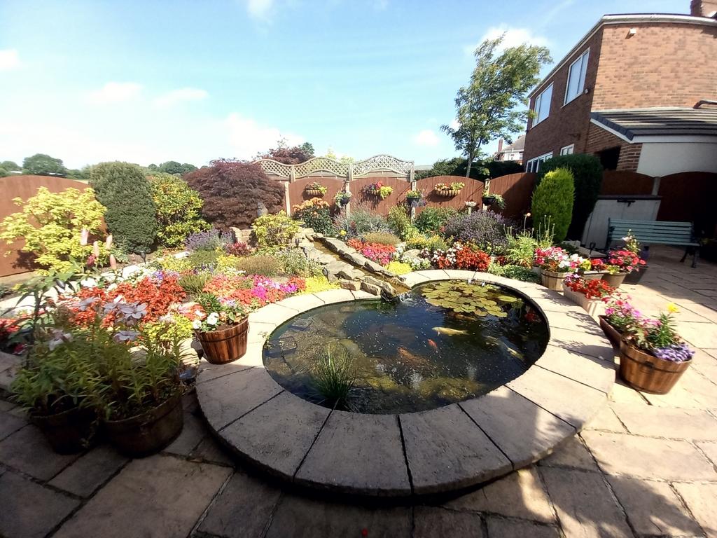 Rear garden