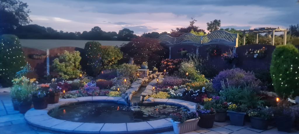 Rear garden