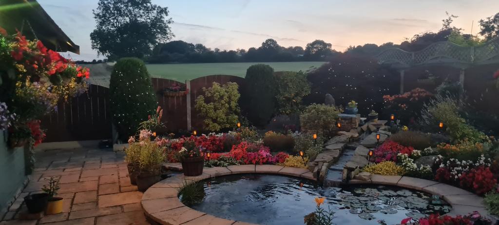 Rear garden