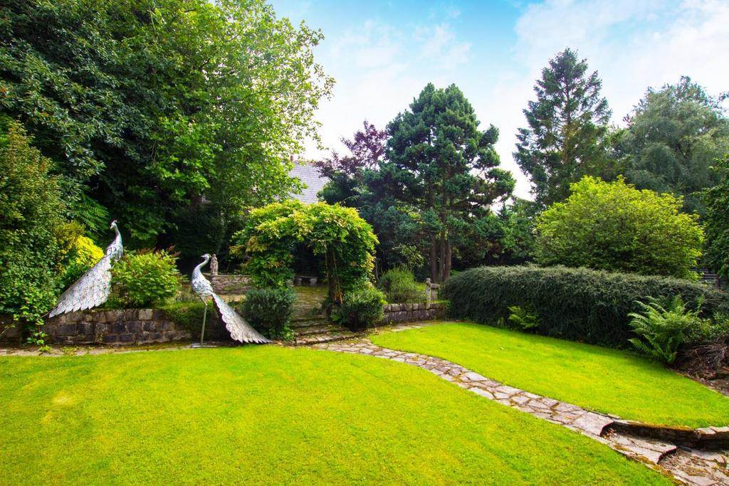 Plane Tree Cottage (19).jpg