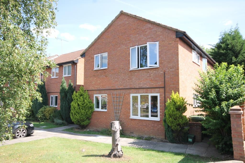 .front IMG 9619.JPG