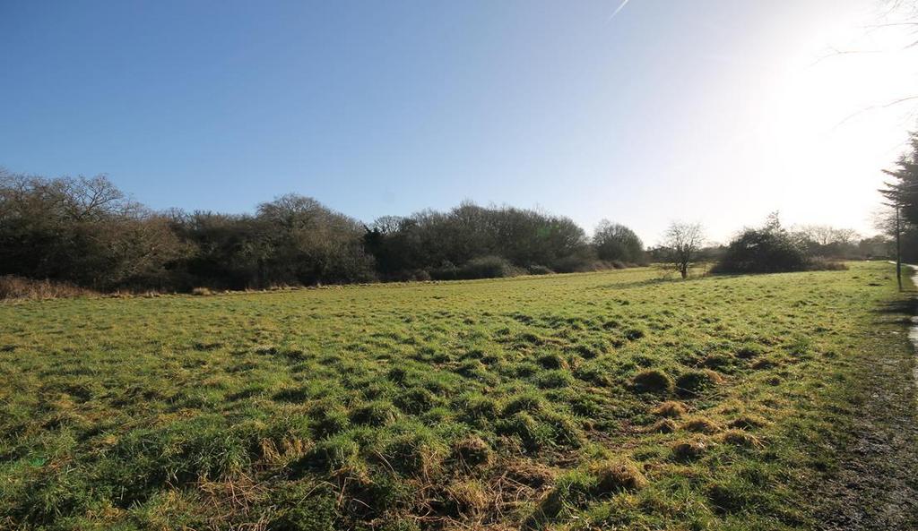 Bookham common.png