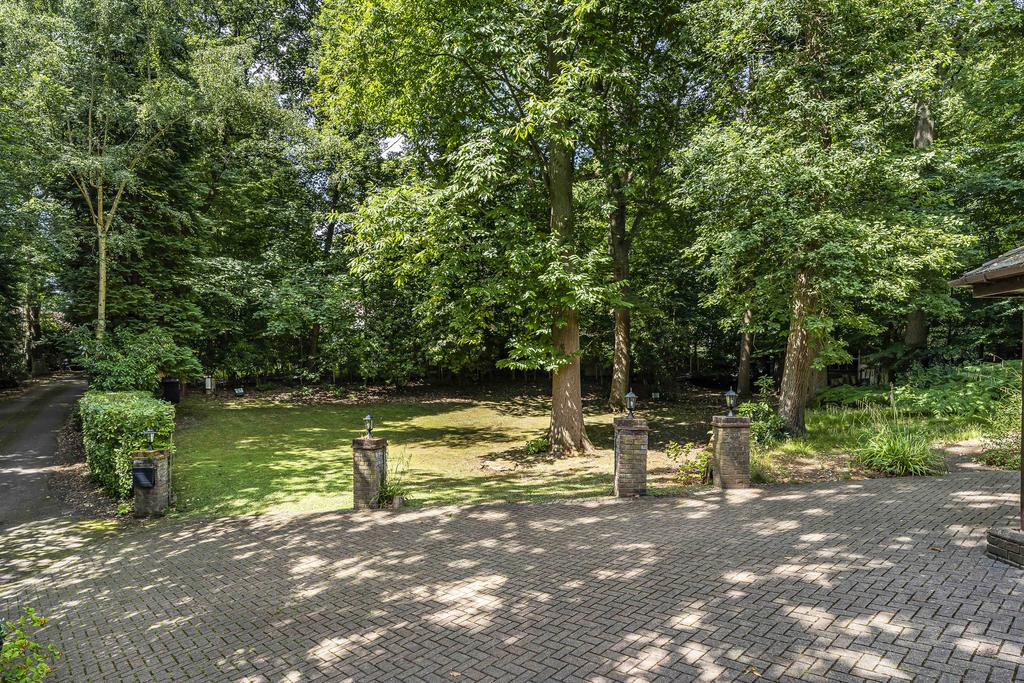 Drive and Front Garden