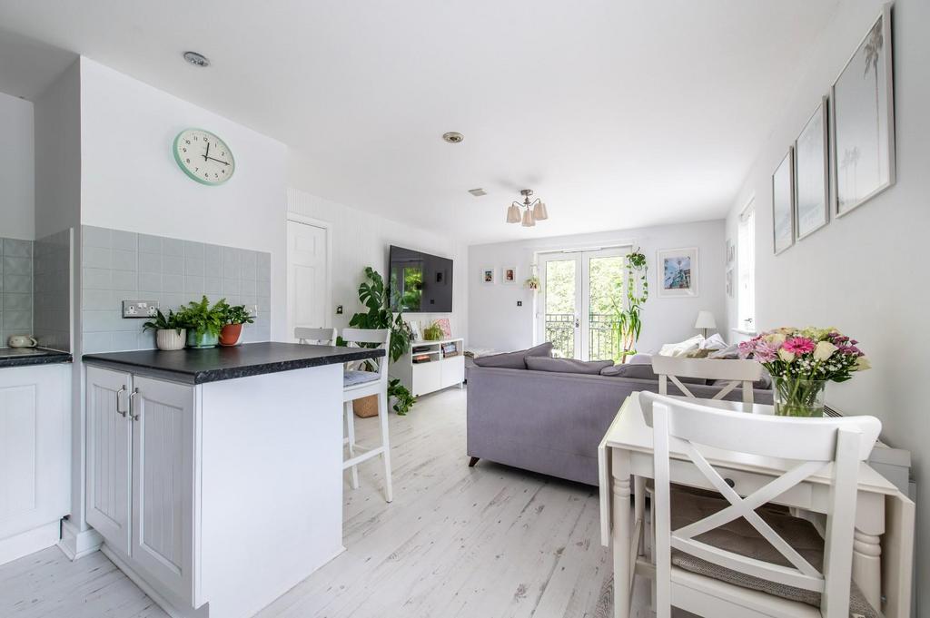 Living Room / Kitchen Area