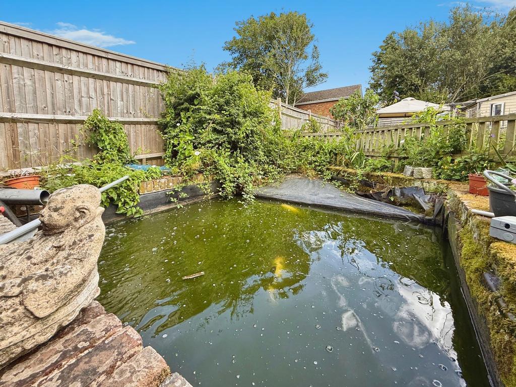Pond