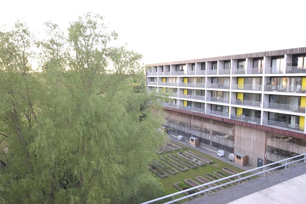 External