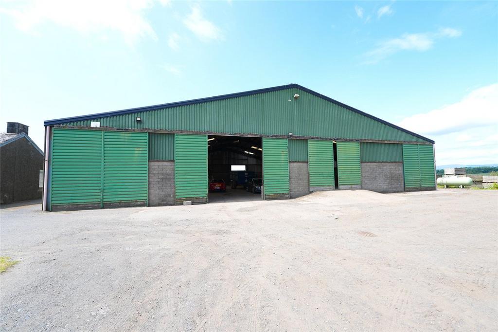 Shed