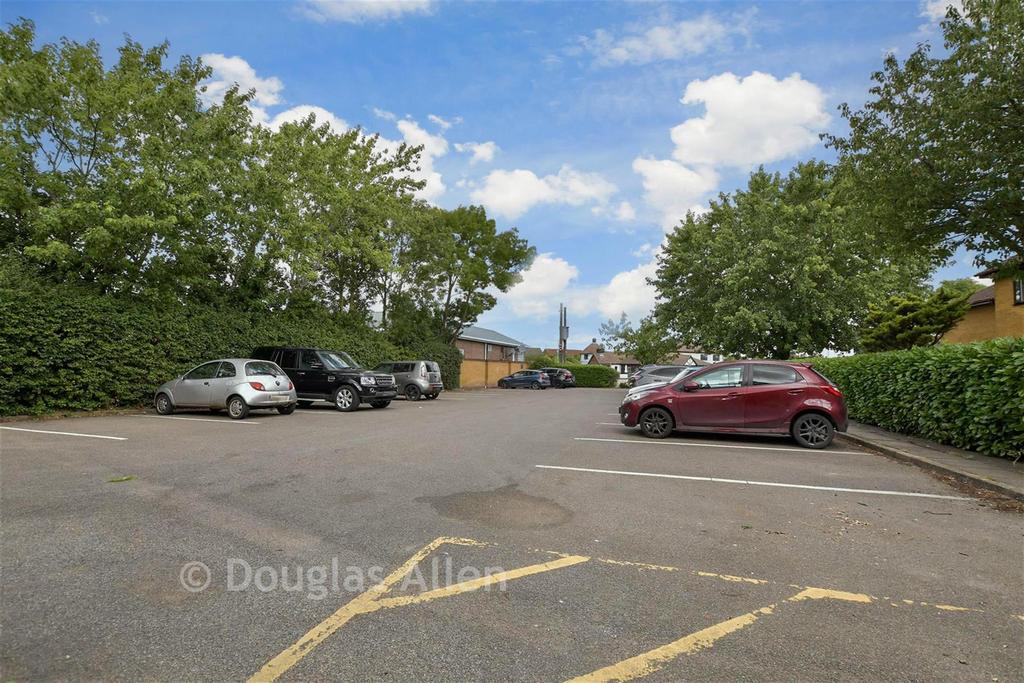 Driveway/Parking