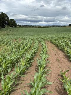 undefined, Arable Land At Gypsy Corner, Whitchurch, Wrexham, SY13