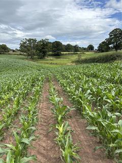 undefined, Arable Land At Gypsy Corner, Whitchurch, Wrexham, SY13