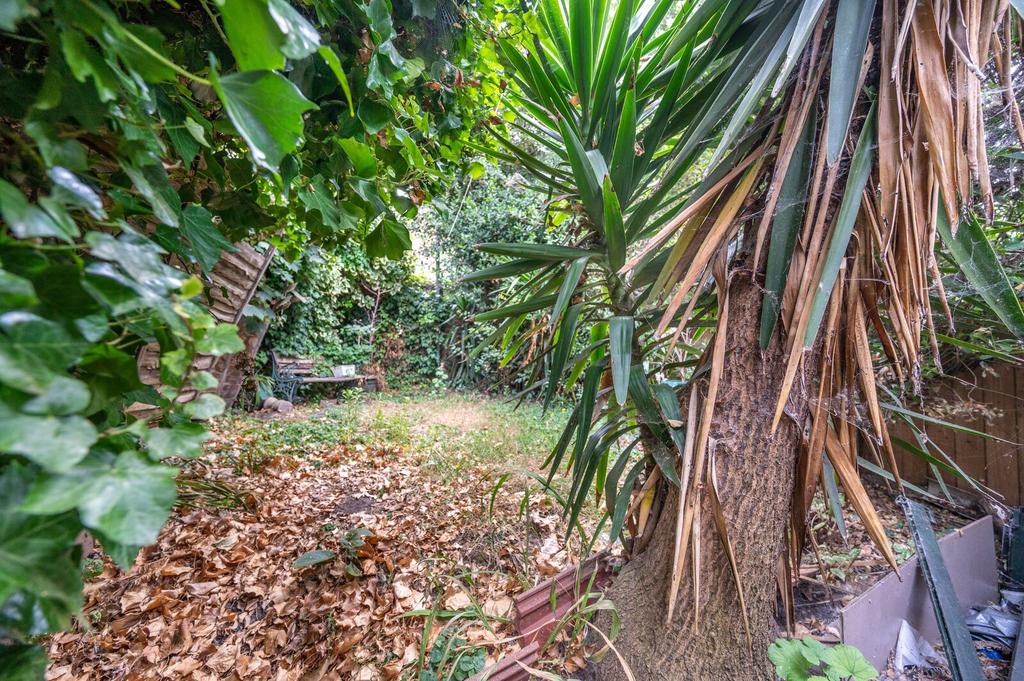 Garden view, garden