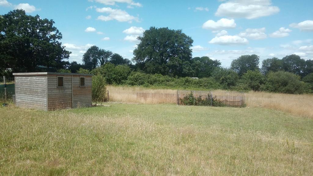 Ideal smallholding with a good-sized shed.