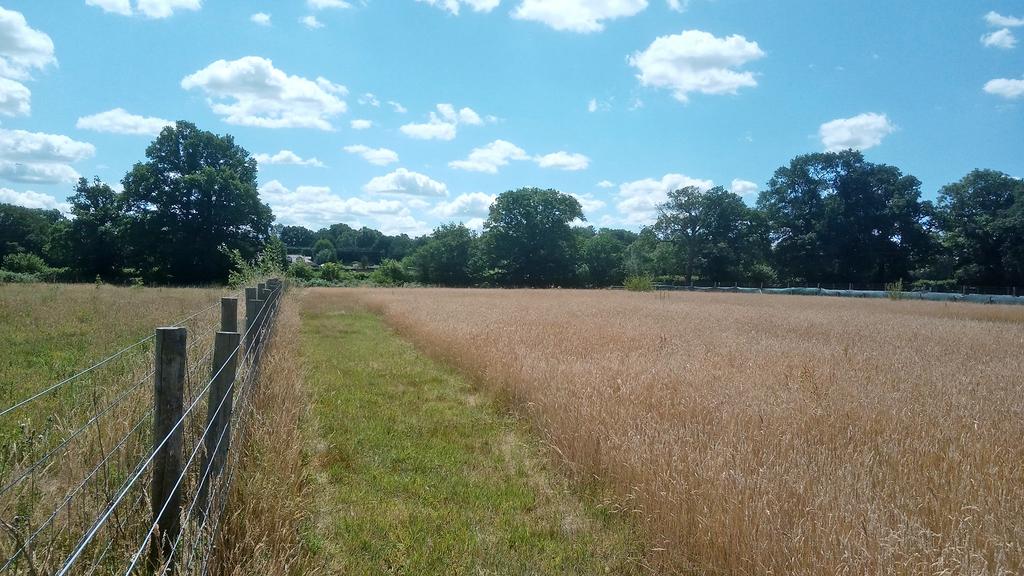 The land is fully fenced.