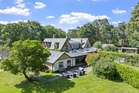 Arne, Wareham, Dorset