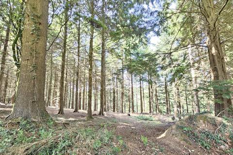 undefined, Caddywell Lane, Torrington, Devon