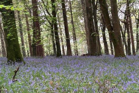 undefined, Caddywell Lane, Torrington, Devon