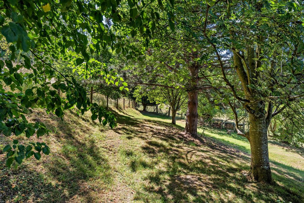 Woodland