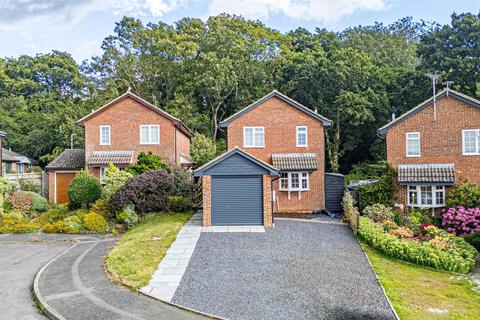 20 Douce Grove, St Leonards-on-sea, TN38 0YJ