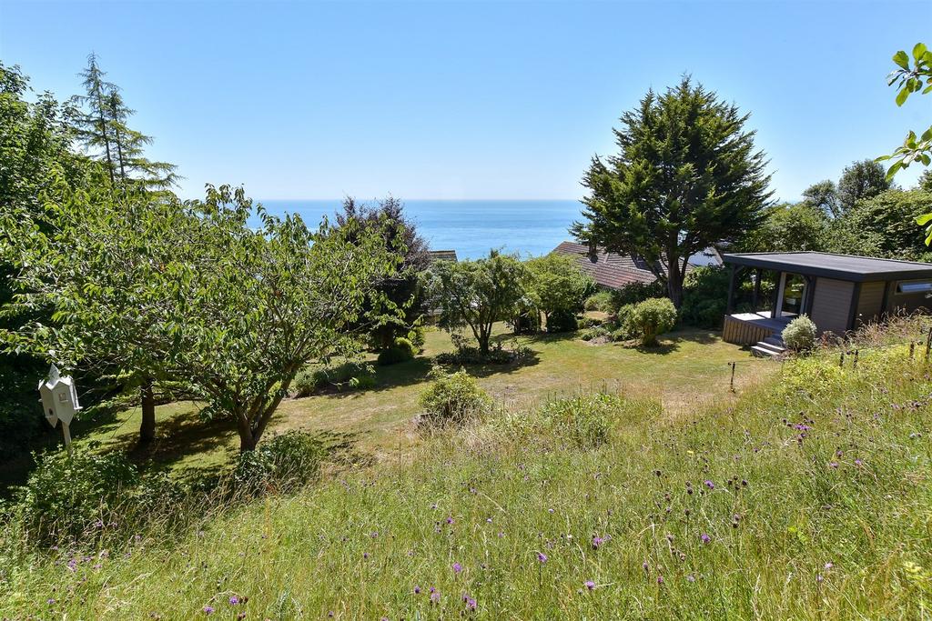 Lifestyle Photograph*