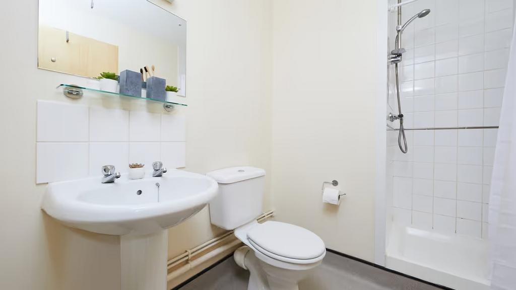 P0t K6f P7 P02 Z4g Auqk Zx Ay2fd CL4e S.jpg