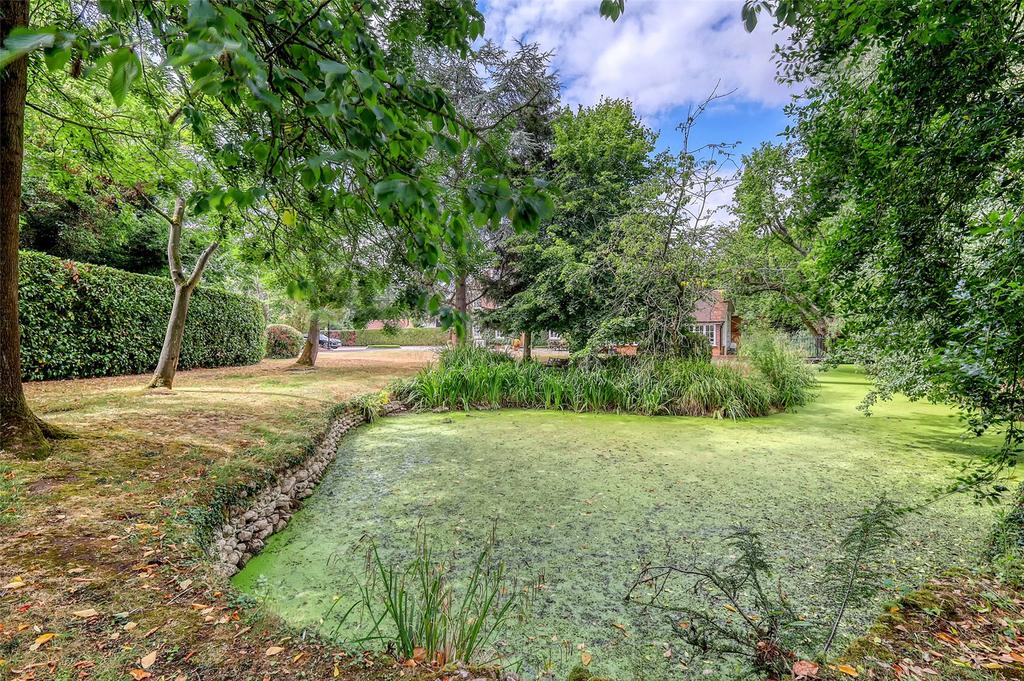 Pond