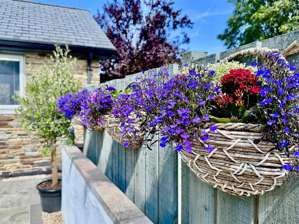 Hanging baskets