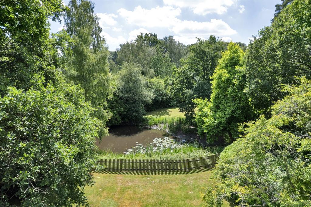 Tree-Lined Pond