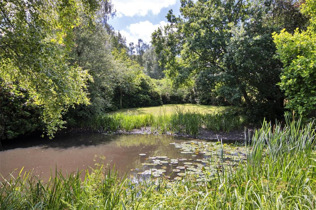 Pond
