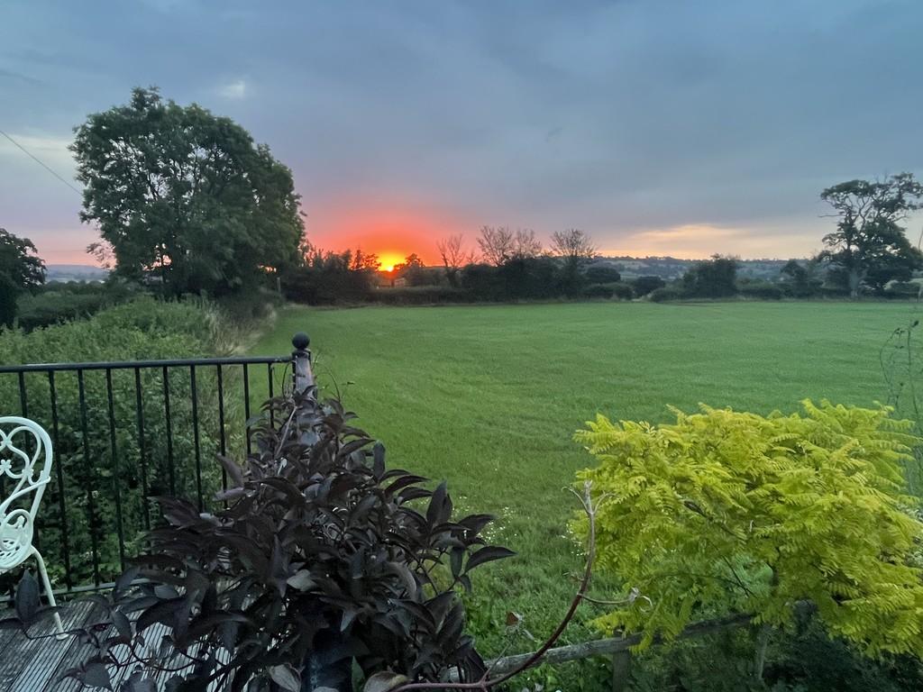 Sunset View