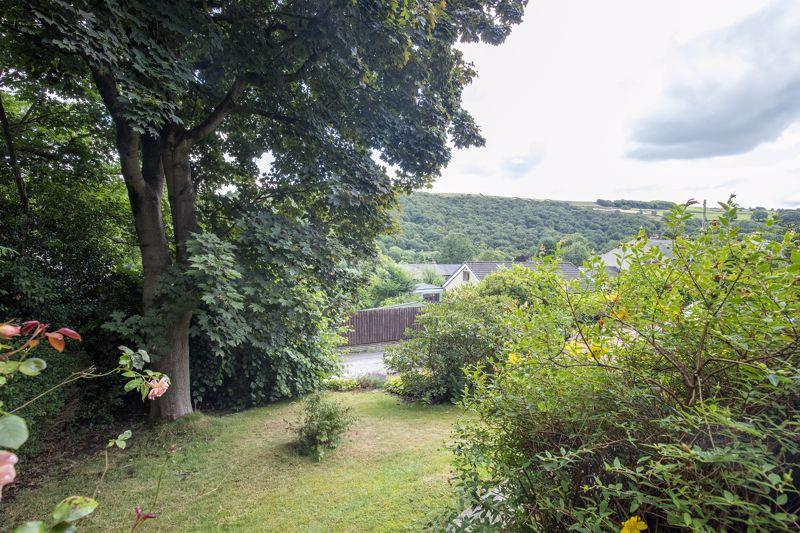 Garden & View