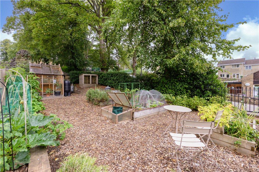 Allotment Garden