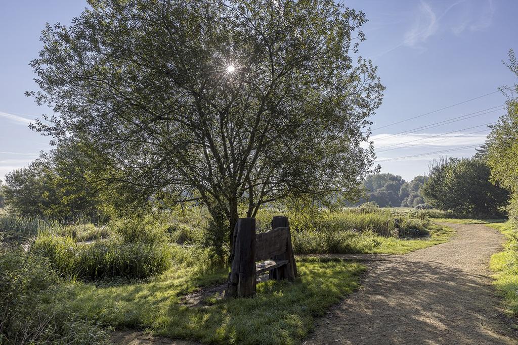 Open Green Spaces