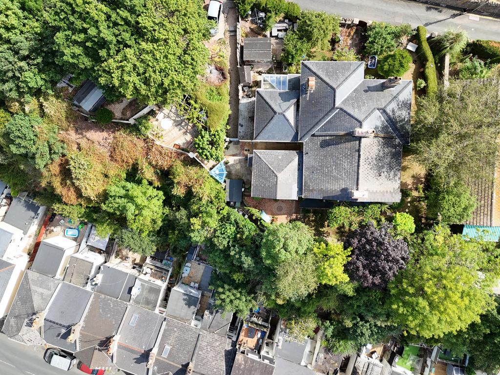 Dji fly 20250718 104200 am 0506 1752836069580 phot