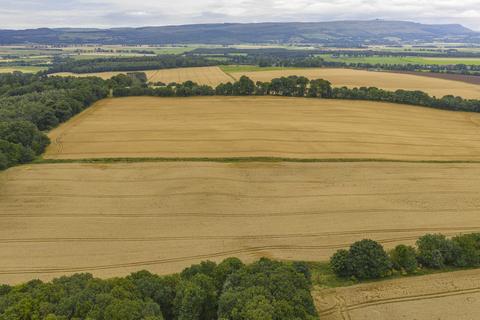 undefined, Hillside of Row, Dunblane FK15